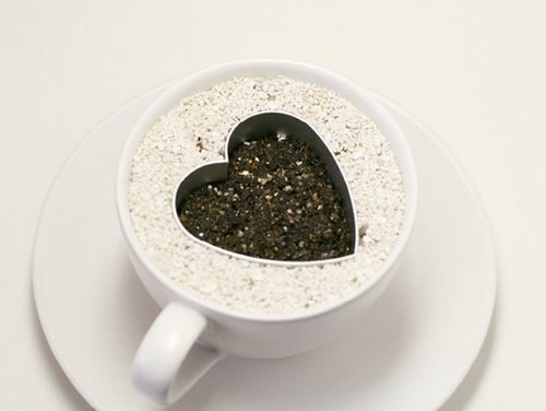 火龙果DIY盆景教程