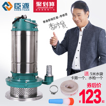 臣源220v不锈钢排污水泵潜水泵家用抽水高扬程农用家用抽水泵灌溉