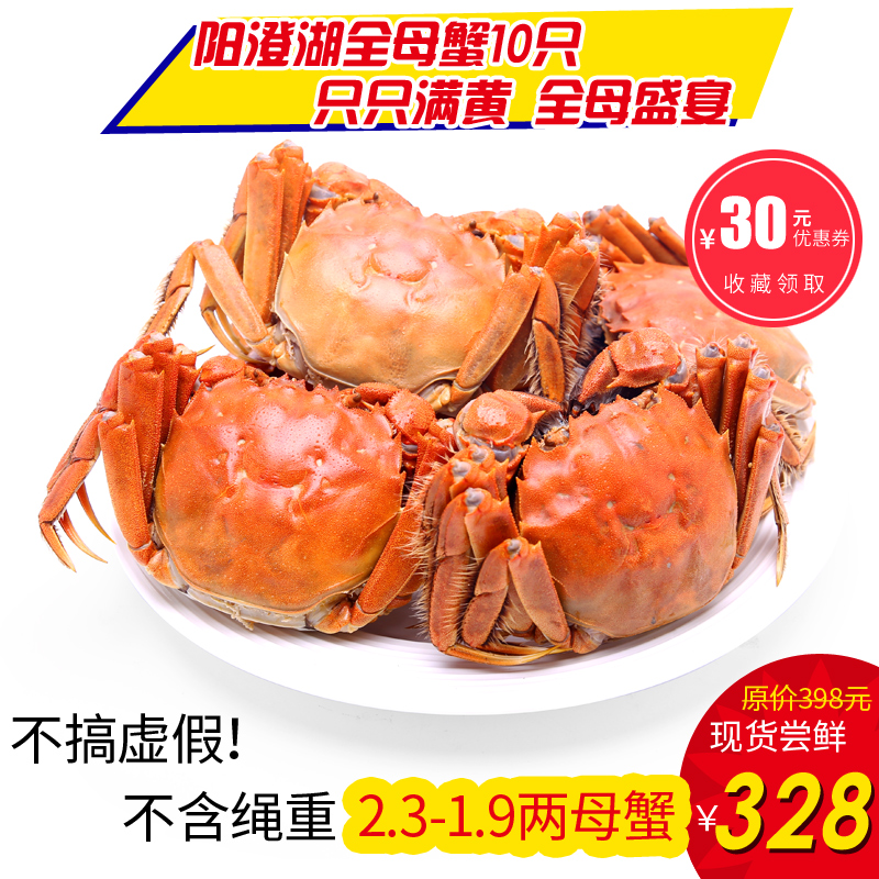 双十一阳澄湖大闸螃蟹全母现货新鲜正宗阳澄湖鲜活母蟹2两10只装