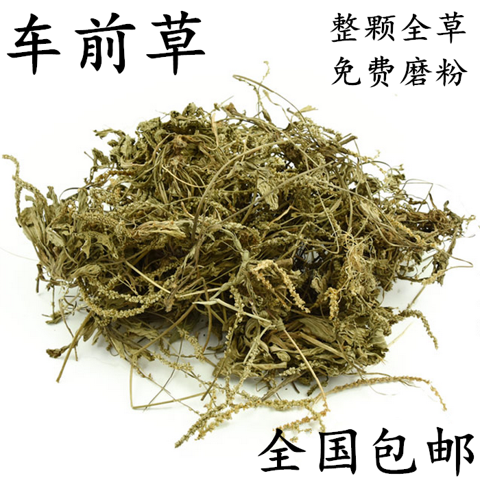车前草 干车钱草车轮草牛舌草 500g 包邮