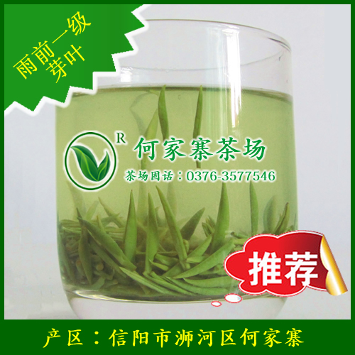 信阳毛尖2016新茶雨前一级优质高山茶叶绿茶自产自销春茶特价