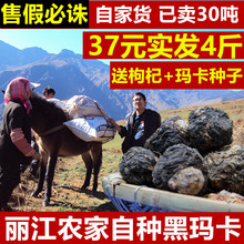 马卡滋补男性 云南丽江黑玛卡干果干片粉秘鲁进口玛咖吗卡野生正品