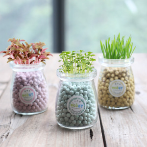 创意diy负离子水培盆栽