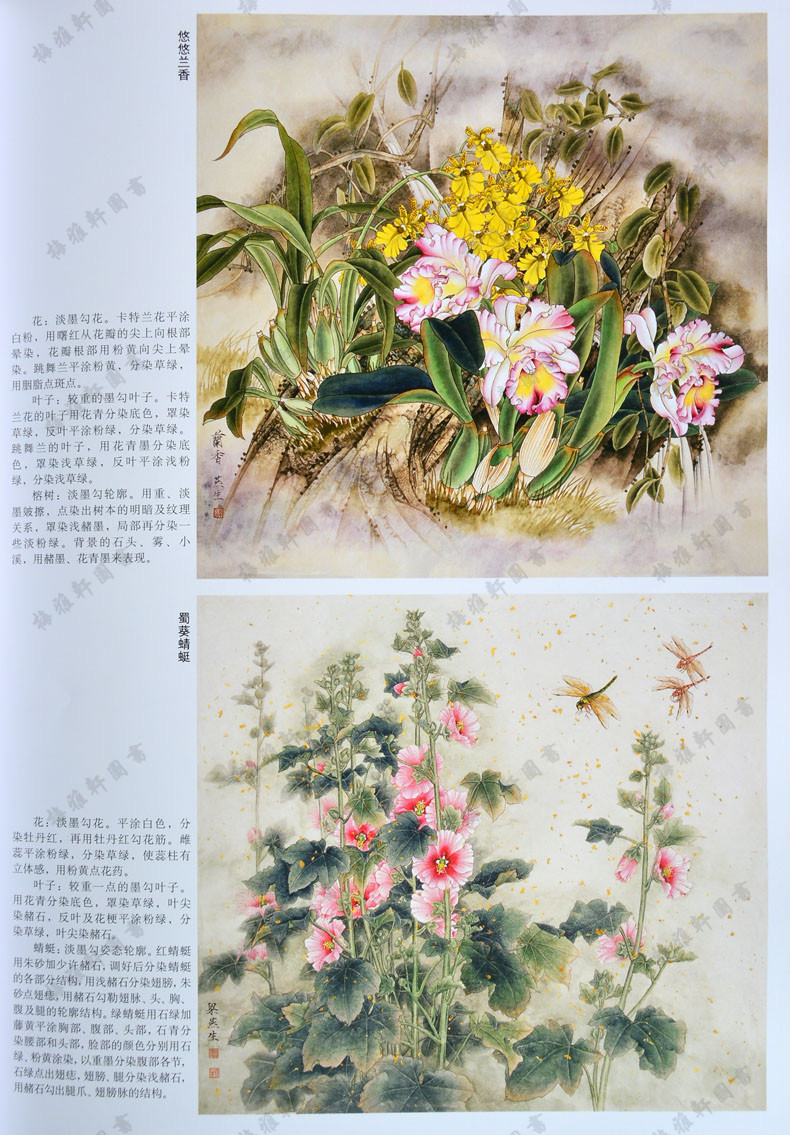 正版图书 工笔花鸟渲染实用方法 梁燕生绘 花鸟画技法方法 牡丹梅花