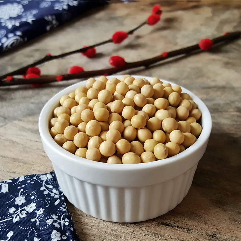 农家自产笨黄豆 小黄豆 发豆芽豆磨豆浆五谷杂粮土黄豆 250g