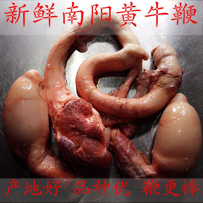 新鲜南阳特产正宗生黄牛鞭泡酒牛宝牛冲牛睾丸1牛鞭2牛蛋整套