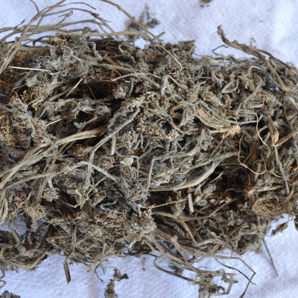 中药材 野生白毛夏枯草 筋骨草 散血草 破血丹 苦草 白头公 500G