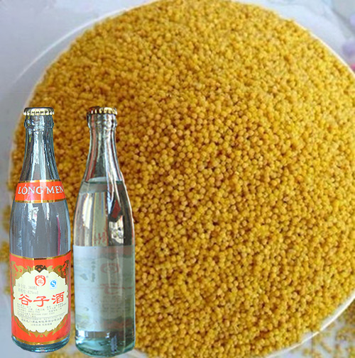 云南特产白酒龙门牌谷子酒杂粮酒白酒清香型特价整箱包邮