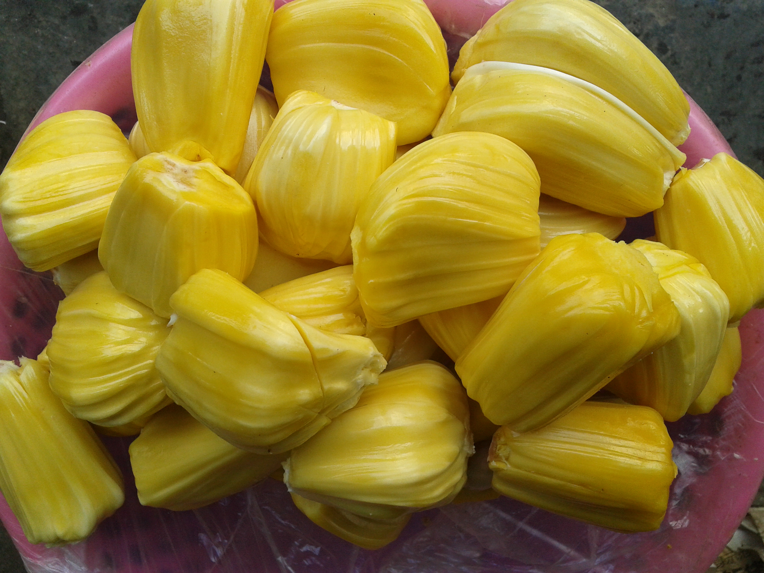 文丁大颗粒J32菠萝蜜 长期外销香港市场 - 农牧世界