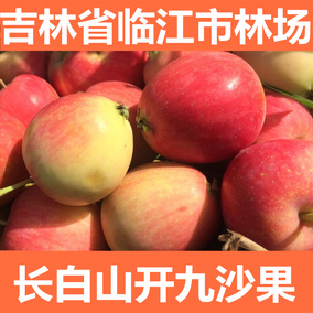 东北特产新鲜水果沙果k9开九海棠果孕妇水果当季2斤包邮123小苹果