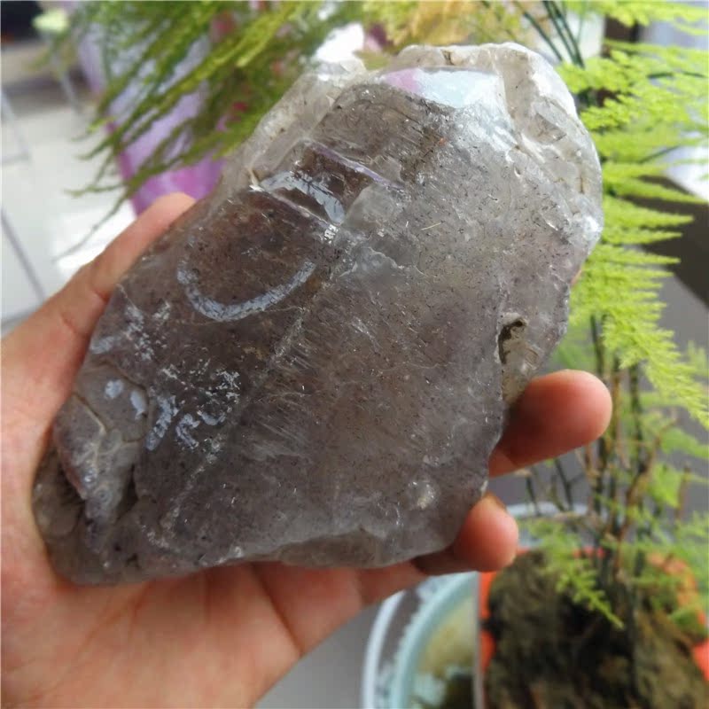天然白水晶骨干水晶原石/水晶表面共生黑云母/骨干云母水晶原石