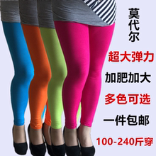 莫代尔打底裤 薄外穿春夏显瘦小脚弹力纯色百搭九分长裤 女大码 包邮