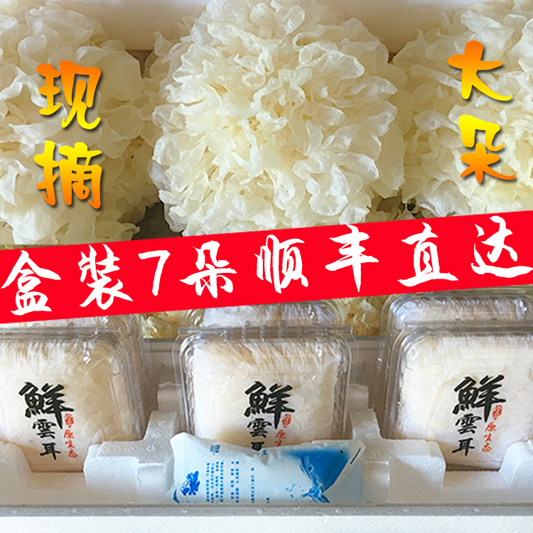 【顺丰直达】古田活耳新鲜银耳雪耳白木耳非银耳干货包糯7朵碗装