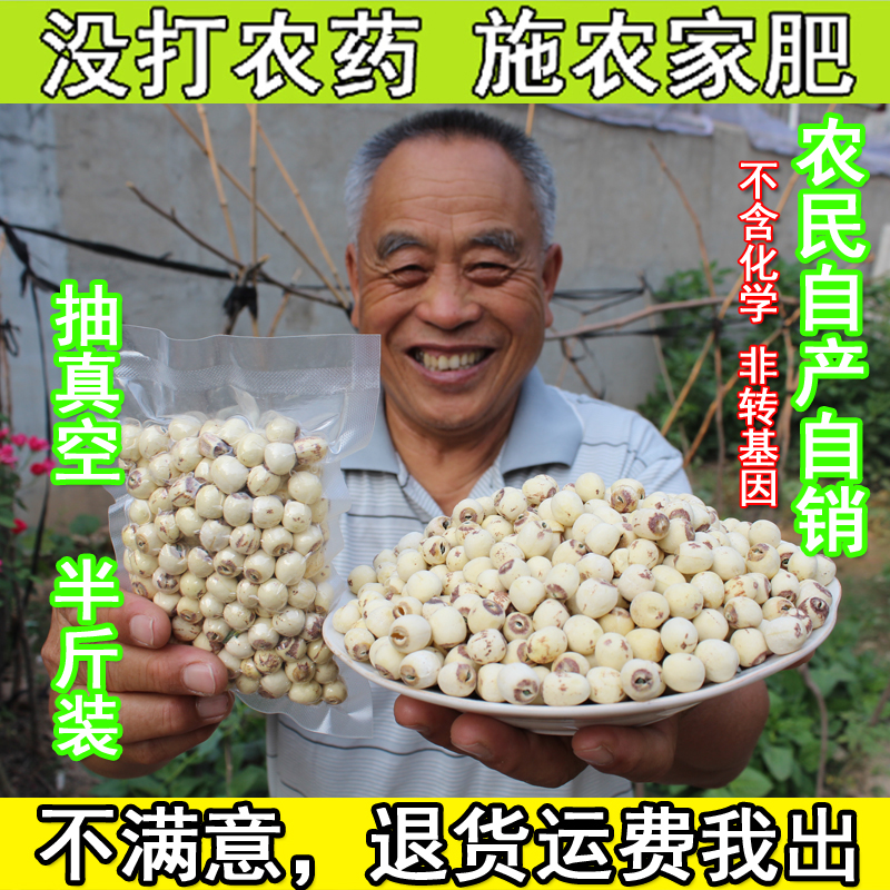 2016新鲜莲子特级农家干货土特产无硫白莲子 莲子磨皮白莲子