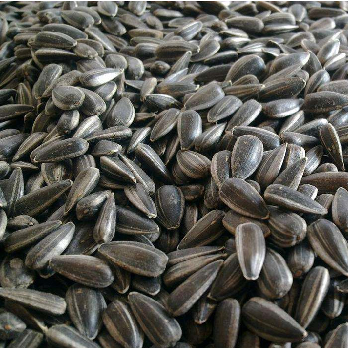 黑珍珠小瓜子黑油葵瓜子小黑熟瓜子500g1斤价,小黑葵花子休闲零食