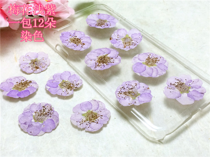 梅花 押花干花永生花真花滴胶手机壳压花 diy贺卡香薰蜡片花材