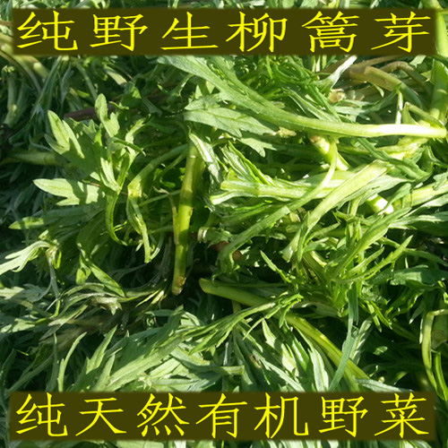 【山野菜】保鲜袋的柳篙芽纯野生柳蒿菜萎蒿水蒿白蒿柳篙二袋