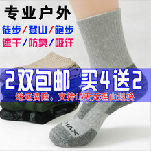 男女中筒户外袜子吸汗透气徒步登山袜运动跑步速干袜coolmax防臭