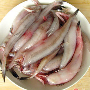 舟山特产优质海鲜龙头鱼豆腐鱼鲜活虾潺非即食每条10