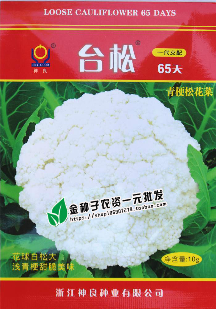 【台松65天】早中熟青梗白面松花菜种子春秋两季播种蔬菜品种