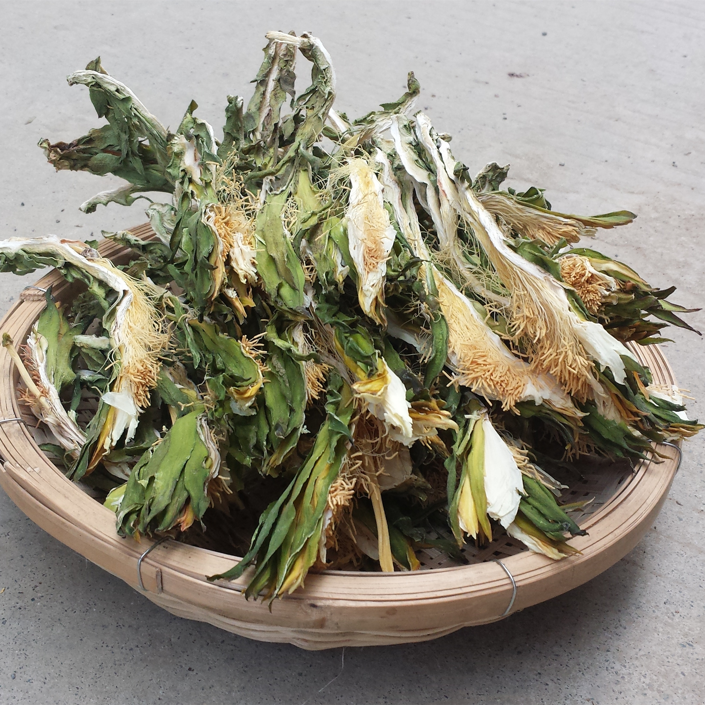 广西特产新花龙骨花霸王花七星剑花干昙花农家干货煲汤料250g