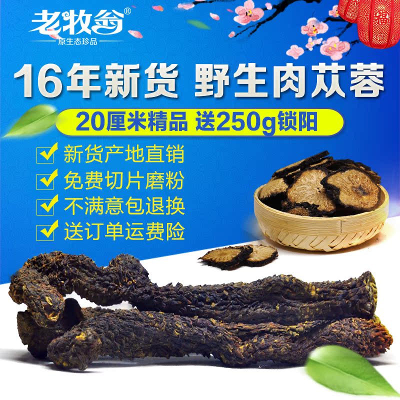 内蒙古阿拉善肉苁蓉野生特级20cm滋补泡酒250g中药材送250克锁阳