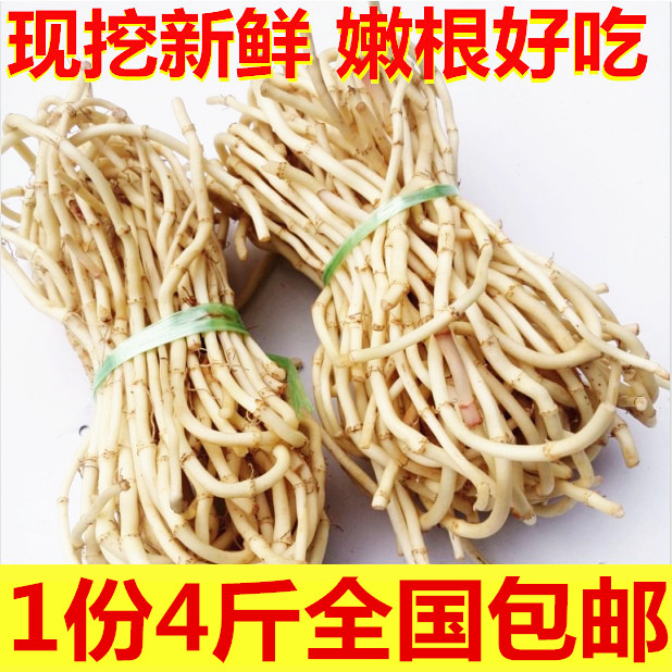 宜昌现挖新鲜鱼腥草折耳根节节根鱼腥草嫩根纯天然营养滋补品