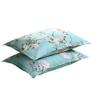 学生宿舍成人枕套一对