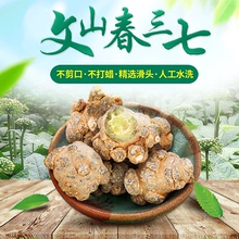 特级三七头野生20头40头田七500克可代磨粉 云南文山三七30头正品