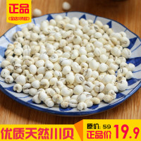 川贝母 四川贝母 平贝珍珠贝尖贝 松贝野生种植