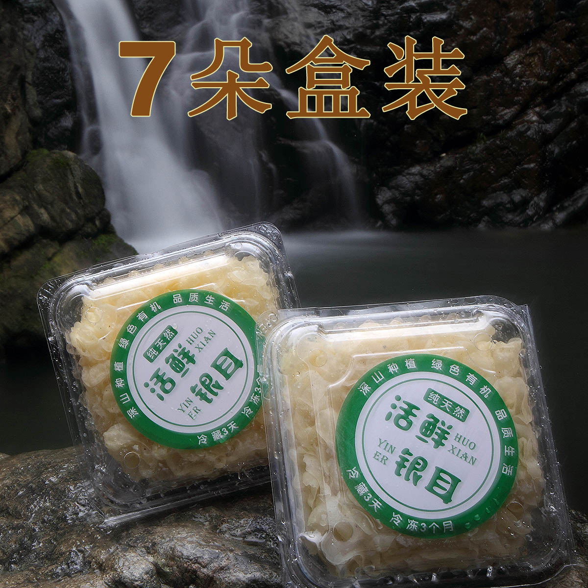 鲜活古田银耳白木耳新鲜雪耳糯耳7朵盒装天然无硫福建农家土特产
