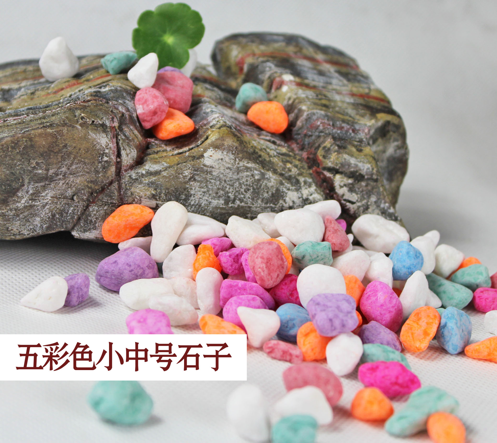 正品[鱼缸石子]鱼缸里放小石子好吗评测 鱼缸里