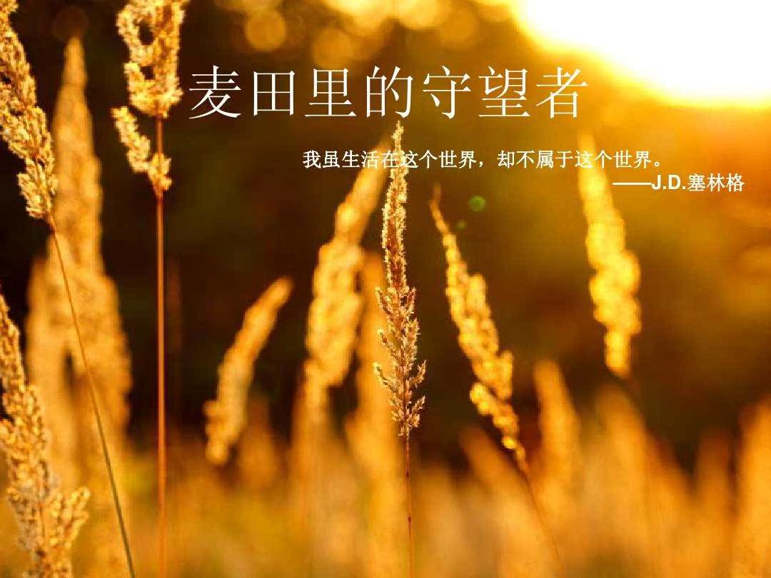 麦田里的守望者 双语中英文原版对照经典暑期读物塞林格孙仲旭正版