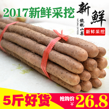 包邮 山药铁棍山药新鲜河南焦作淮山药粉山药温县铁棍山药铁杆山藥