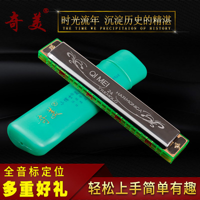 奇美口琴24孔复音C调口琴初学者儿童成人学生入门练习乐器口琴