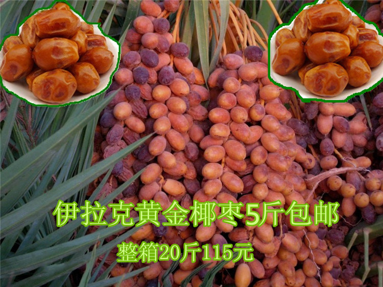 伊拉克原味迪拜阿联酋进口黄金蜜枣皇冠椰枣新疆干果特产500g包邮