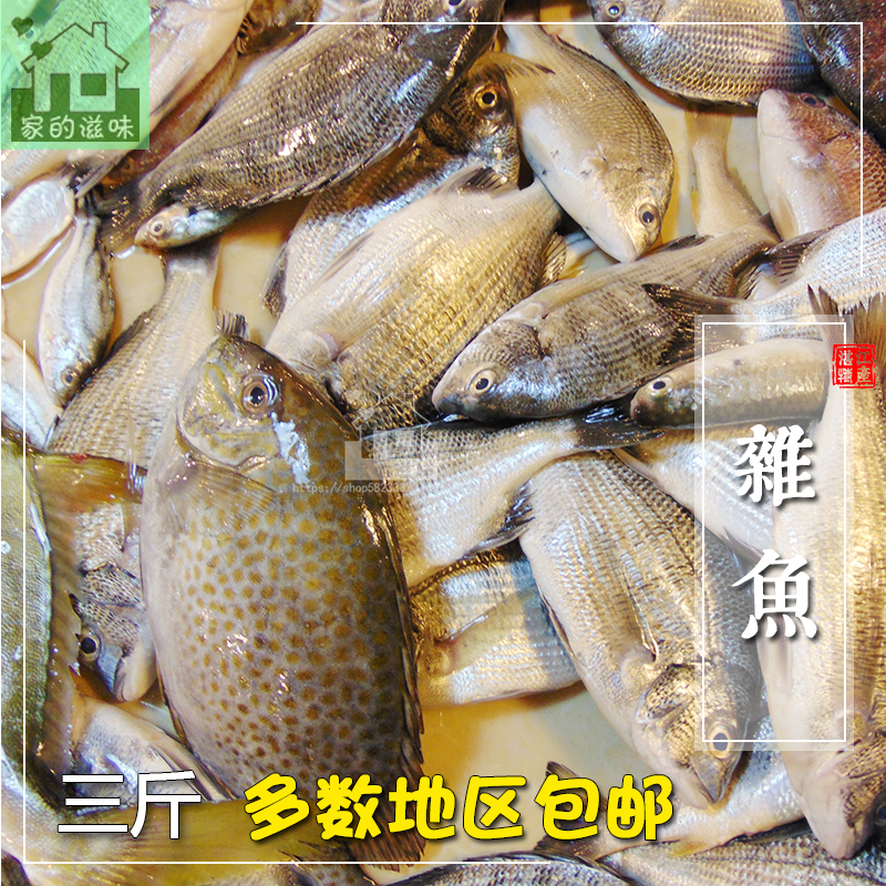 海杂鱼三斤各种新鲜大小海鱼生鲜海鱼野生混杂鱼湛江海鲜多地
