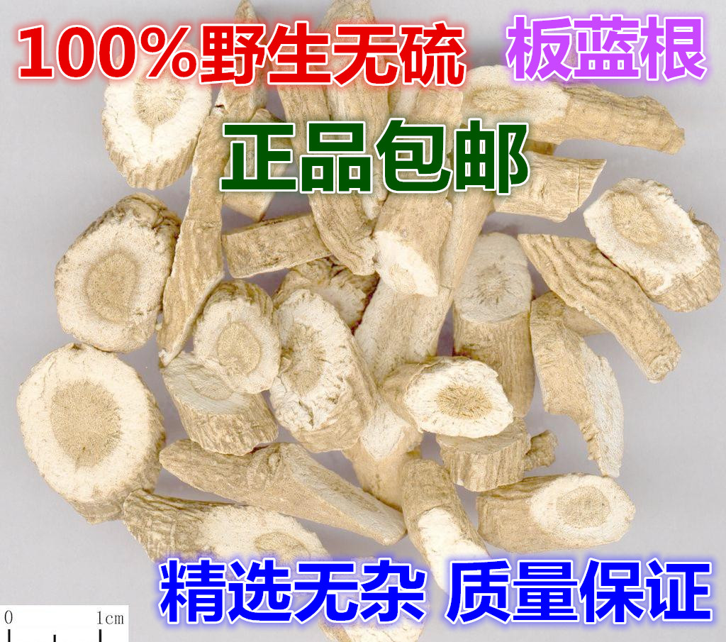 中药材板蓝根板兰根板蓝根茶板蓝根块大青叶 板蓝根粉500g2斤包邮