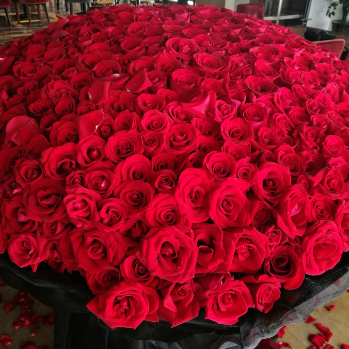天津市同城速递999朵红玫瑰求婚鲜花生日情人节花束