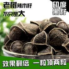 正宗辣木籽大颗粒食用印度进口 纯天然特级500g辣木仔 包邮 老树