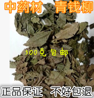 中药材批发青钱柳 金钱柳 青钱柳叶 青钱柳茶 中草药500克包邮