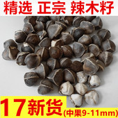 食用辣木茶500g 正宗印度特级纯天然散装 包邮 辣木子辣木籽印度进口