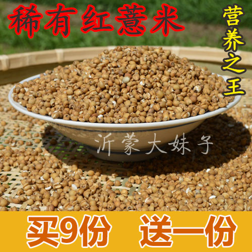 农家红小薏米仁 薏仁米 红薏米 苡仁 糙薏米 250g满包邮