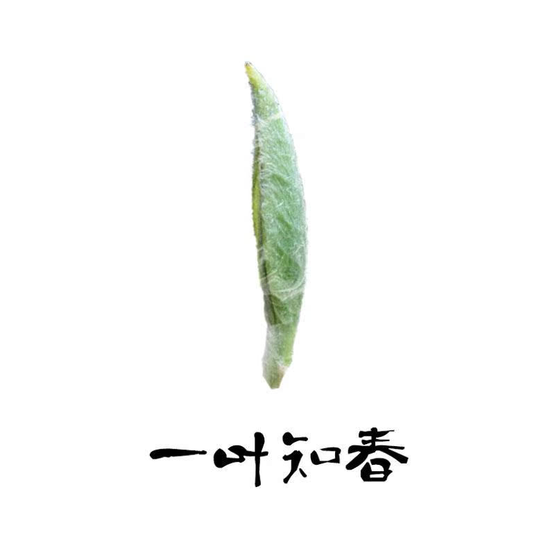 2016春茶新茶 陕西紫阳富硒茶叶 毛尖浓香耐泡翠峰炒青250g包邮