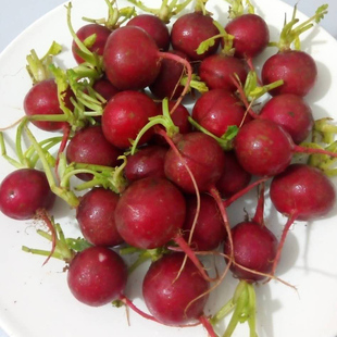 ¿л߲ܲʳܲС˲ְʴ෢500g