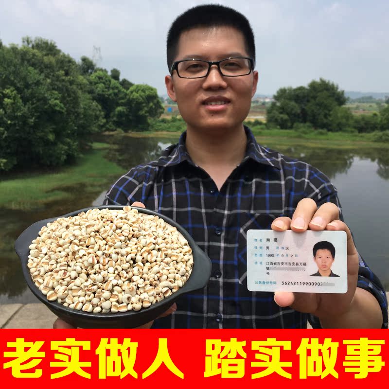 薏米非熟薏仁米新货非小薏米农家自产薏米仁特级有机薏苡仁500g装