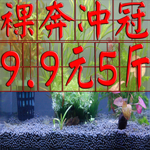 包邮 陶粒砂底砂鱼缸造景底砂石头天然陶瓷沙土基肥ada水草泥10斤