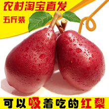 包邮 5斤水果新鲜现摘现发太婆梨产地直发西洋红梨 农村淘宝红啤梨