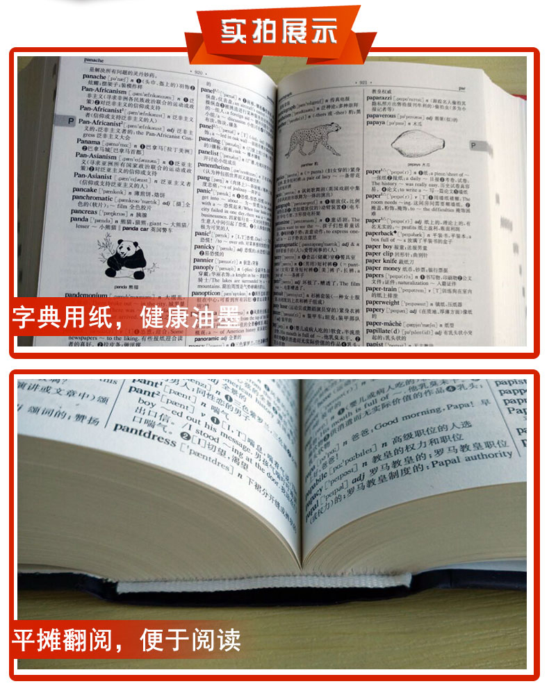 英译汉汉译英 英汉互译英语文翻译初高中学生精装