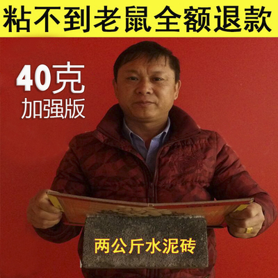 粘老鼠板超强力大老鼠贴包邮10片装老鼠贴捕鼠神器家用黏鼠板胶纸